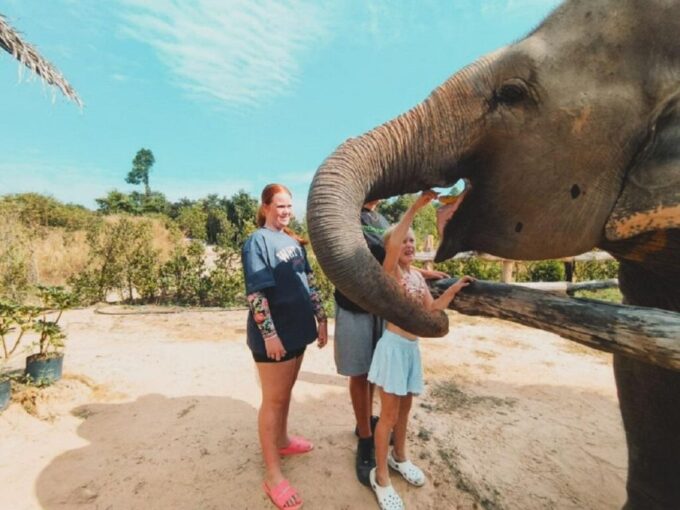 Cambodia Elephant Sanctuary and Banteay Srey Temple Tour - Explore Banteay Srei Temple