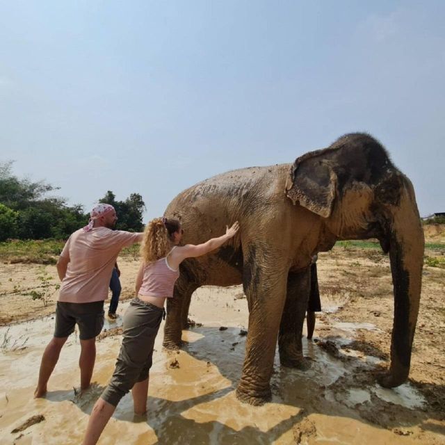 Cambodia Elephant Sanctuary and Banteay Srey Temple Tour - Frequently Asked Questions