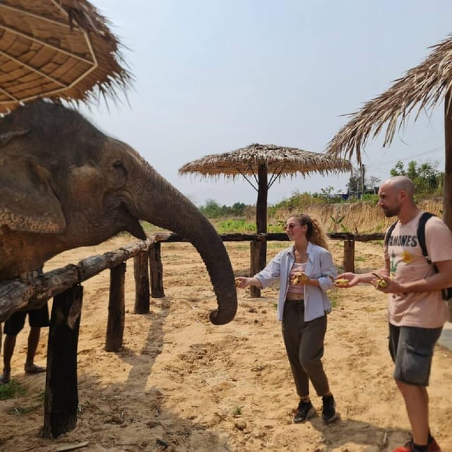 Cambodia Elephant Sanctuary Include Hotel Transfer Roundtrip - Good To Know