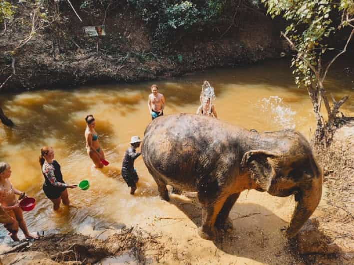 Cambodia Elephant Sanctuary Include Hotel Transfer Roundtrip - Transportation and Pickup