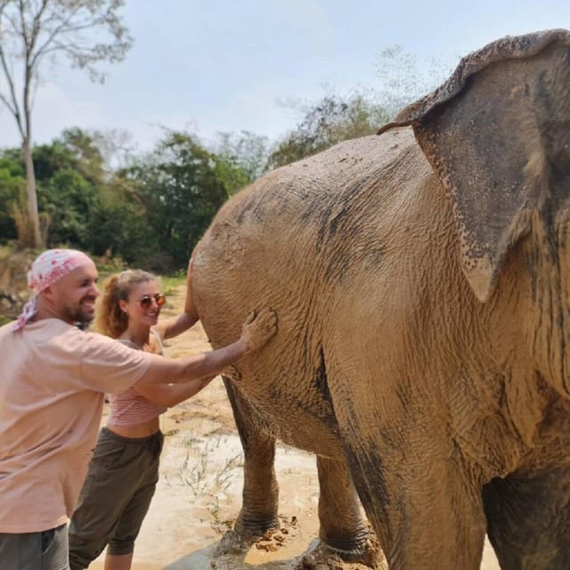 Cambodia Elephant Sanctuary Include Hotel Transfer Roundtrip - Interaction With Elephants