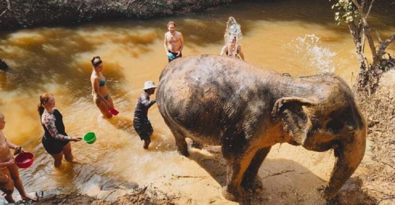 Cambodia Elephant Sanctuary Include Hotel Transfer Roundtrip - Frequently Asked Questions