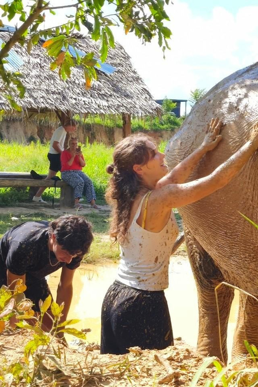 Cambodia Elephant Sanctuary, Pickup and Drop off Included - Itinerary Breakdown