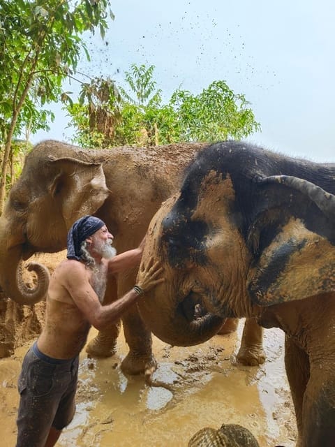 Cambodia Elephant Sanctuary, Pickup and Drop off Included - Included Amenities