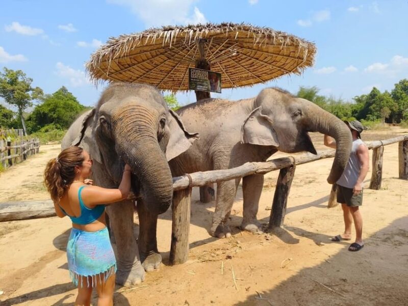 Cambodia Elephant Sanctuary, Pickup and Drop off Included - Accessibility Considerations