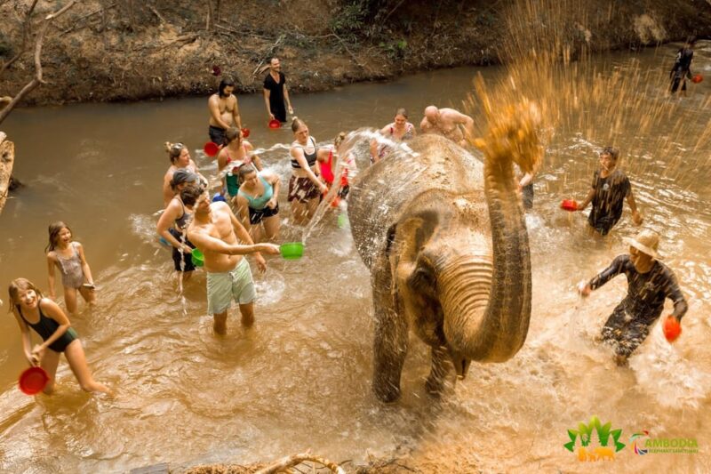Cambodia Elephant Sanctuary, Pickup and Drop off Included - Guest Transportation