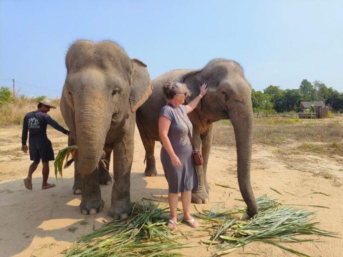 Cambodia Elephant Sanctuary, Pickup and Drop off Included - Visitor Testimonials