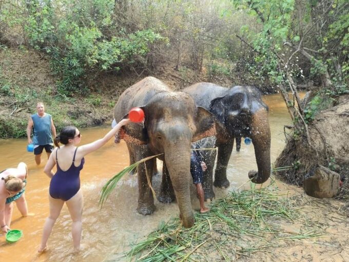 Cambodia Elephant Sanctuary, Pickup and Drop off Included - Frequently Asked Questions