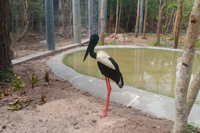 Cambodia Wildlife Sanctuary and Countryside Tour - Culinary Experience in Takeo Province