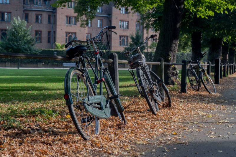 Cambridge: Alumni-Led Walking Tour W/Opt Kings College Entry - Key Highlights