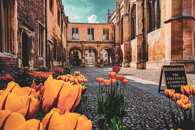 Cambridge Instagram Self-Guided Tour - Top Photo Spots - Tips for Navigating the Tour