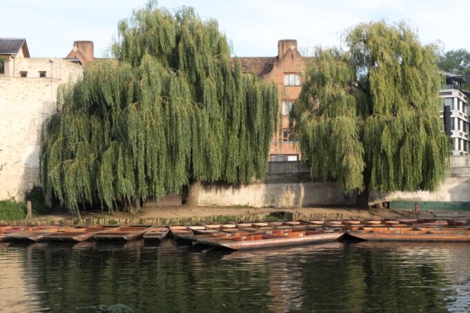 Cambridge: Punting Tour on the River Cam - Booking and Cancellation Policy