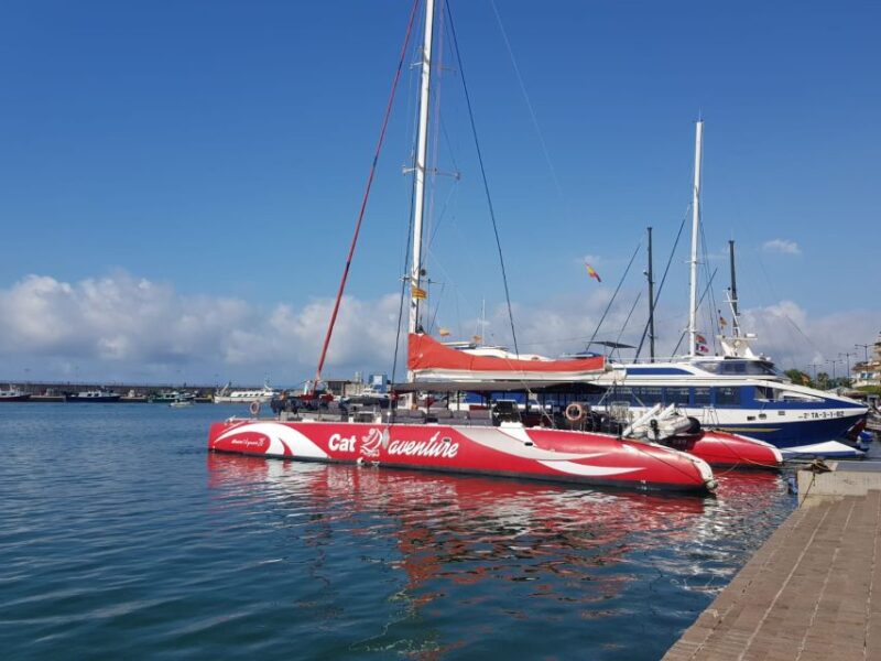 Cambrils/Salou: Coastline Catamaran 2h With Drinks, Pickup - Schedule and Departure Details