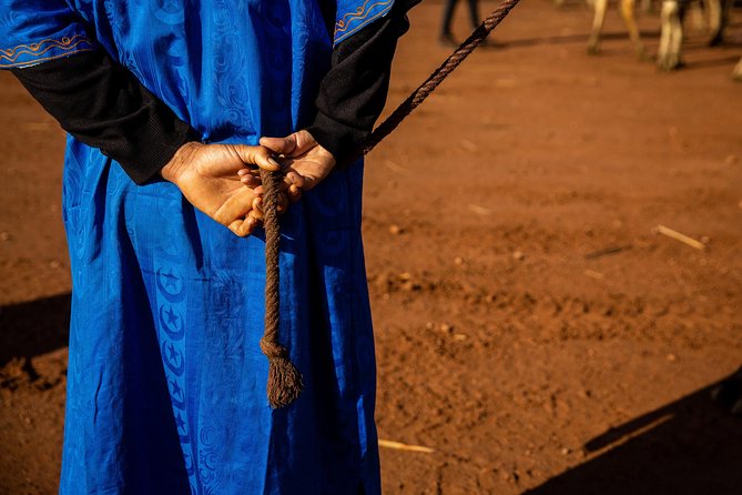 Camel and Quad Biking Tour From Marrakech - Additional Considerations