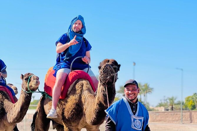 Camel in Marrakech at Sunset - Pricing and Booking
