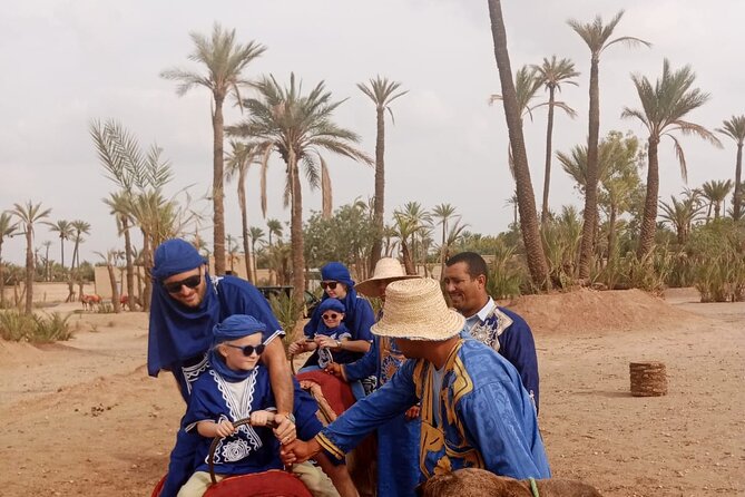 Camel in Marrakech at Sunset - Customer Testimonials