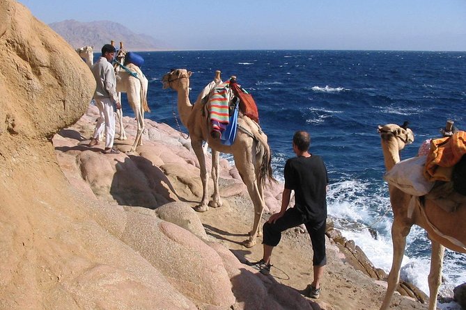 Camel Ridding Marsa Alam Safari From Camel Yard - Pickup and Meeting