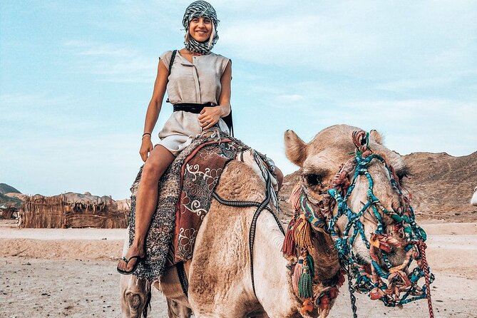 Camel Ridding Marsa Alam Safari From Camel Yard - Experience Highlights