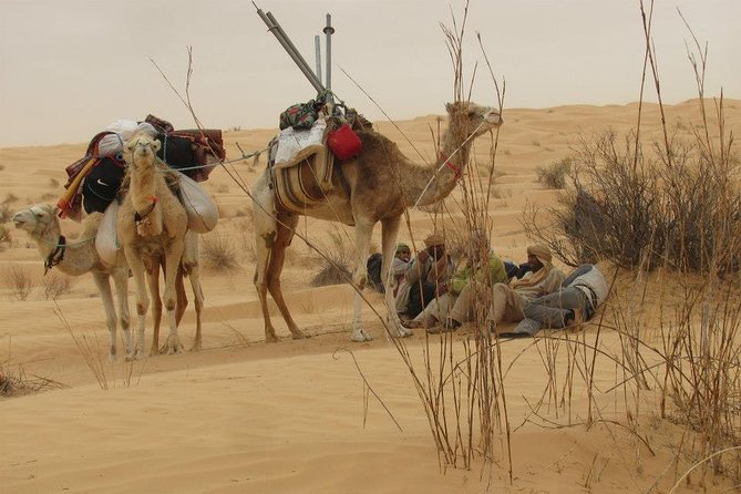 Camel Ride and 1 Night in the Desert - Inclusions and Amenities