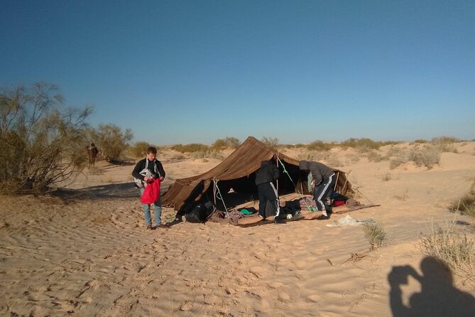 Camel Ride and 1 Night in the Desert - Pickup and Schedule