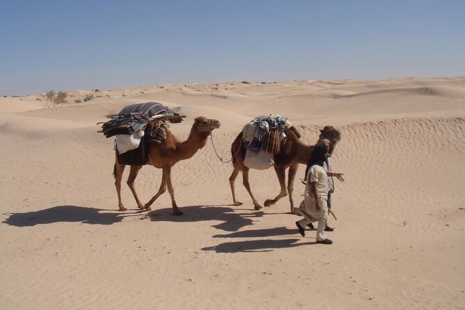 Camel Ride and 1 Night in the Desert - Additional Information