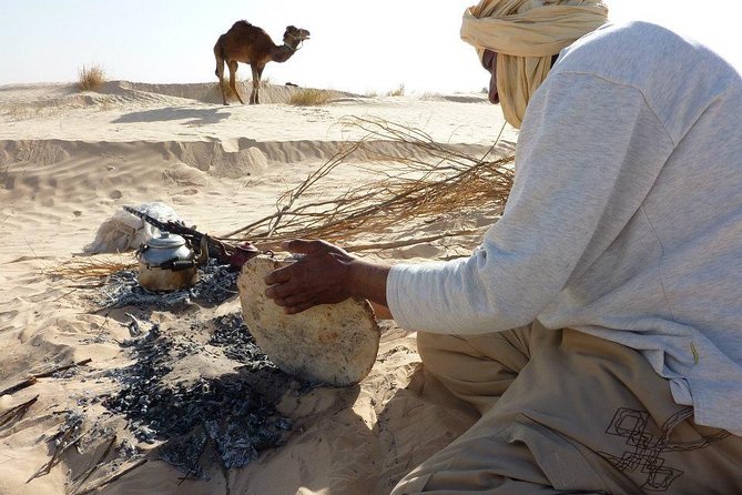Camel Ride and 1 Night in the Desert - Reviews and Feedback