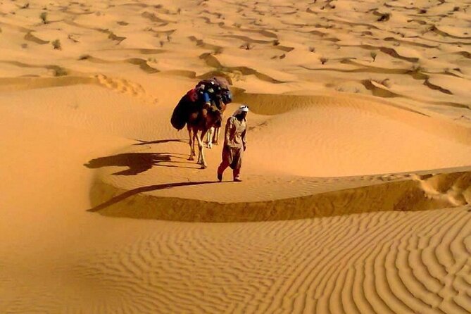 Camel Ride and 1 Night in the Desert - Exploring Chott Djerid