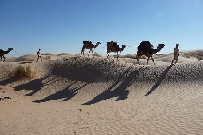 Camel Ride and 1 Night in the Desert - Camel Riding Adventure