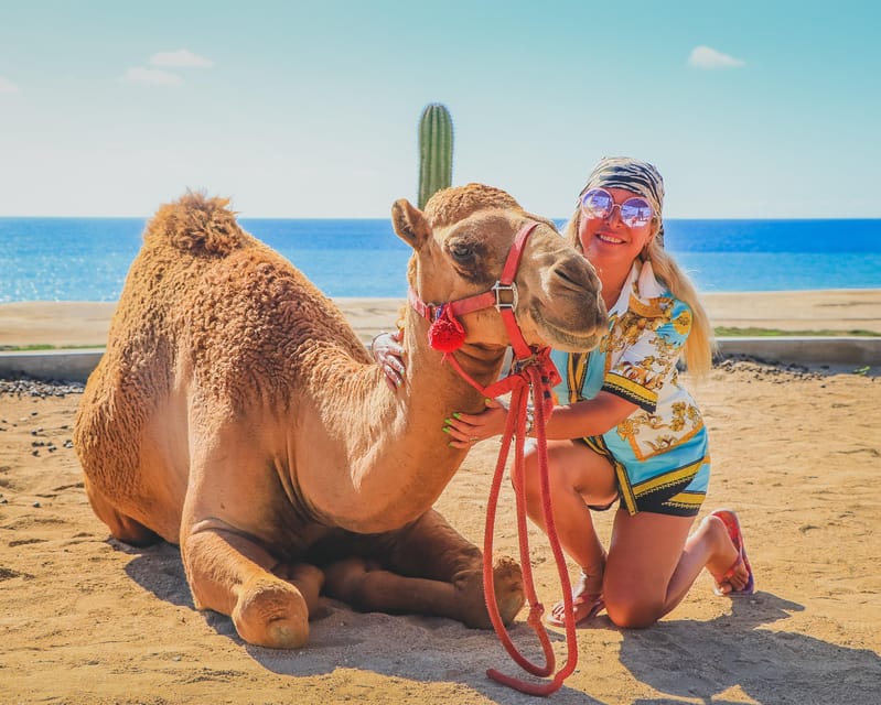 Camel Ride and Extreme UTV Combo Tour With Tequila Tasting - Experience Highlights