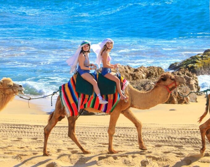 Camel Ride and Extreme UTV Combo Tour With Tequila Tasting - Tequila Tasting