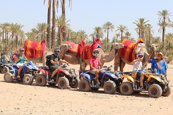 Camel Ride and Quad Bike in Palmeraie - Accessibility and Requirements