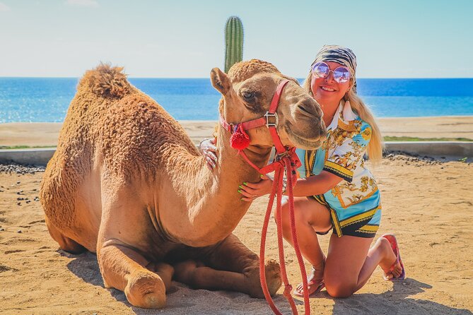 Camel Ride and UTV Combo Adventure, With Tequila Tasting - Insurance and Damage Coverage
