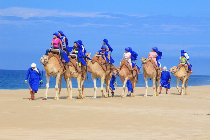 Camel Ride and UTV Combo Adventure, With Tequila Tasting - Health and Accessibility Restrictions