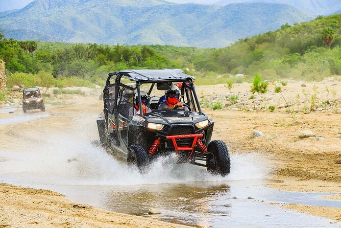 Camel Ride and UTV Combo Adventure, With Tequila Tasting - Customer Feedback and Recommendations