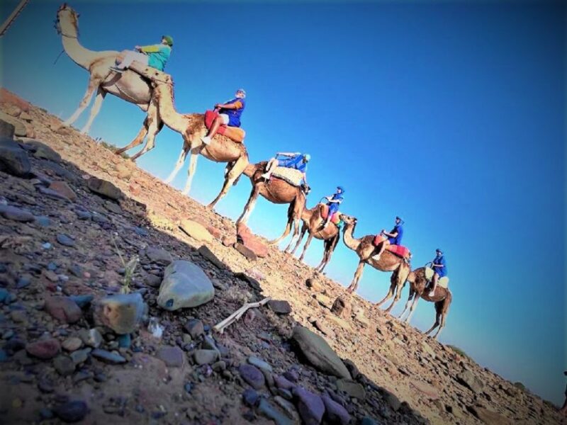 Camel Ride, Anima Garden and Atlas Mountains | Power Traveller