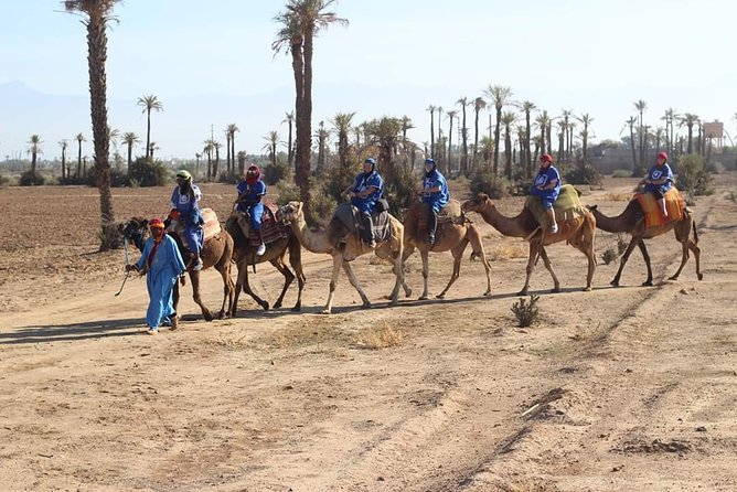 Camel Ride at Sunset From the Palm Grove - Location and Accessibility