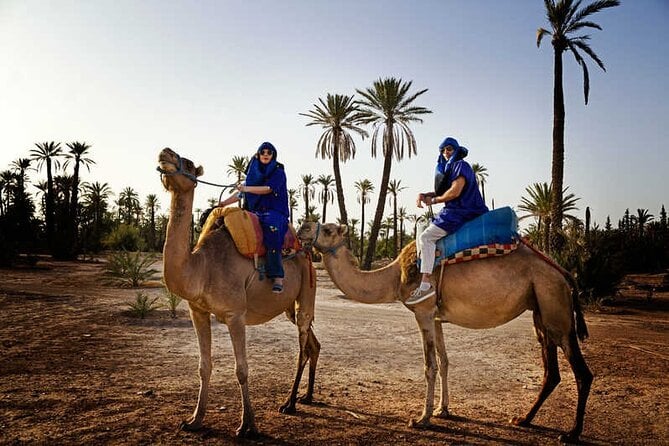 Camel Ride at Sunset From the Palm Grove - Sunset Camel Ride Experience