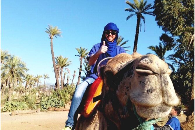 Camel Ride at Sunset From the Palm Grove - Highlights and Reviews
