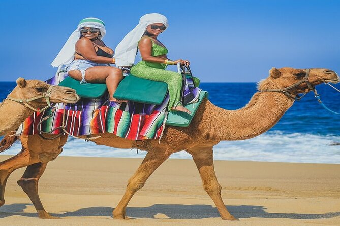 Camel Ride & ATV Combo in Migriño, Mexico - Safety Guidelines