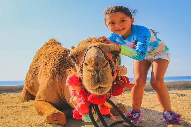 Camel Ride & ATV Combo in Migriño, Mexico - Traveler Experiences