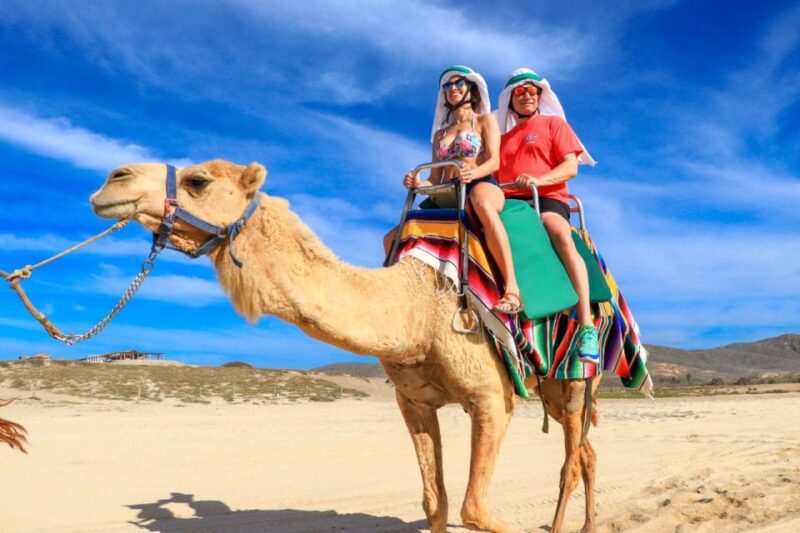 Camel Ride Beach and Desert Adventure. - Itinerary and Experience Highlights