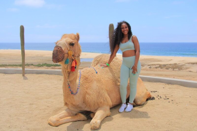 Camel Ride Beach and Desert Adventure. - Pickup and Meeting Information