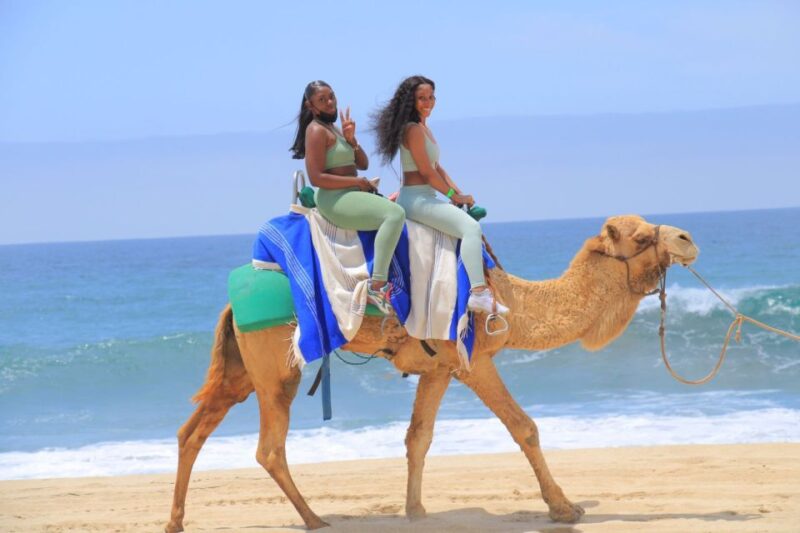 Camel Ride Beach and Desert Adventure. - Customer Feedback and Important Notes