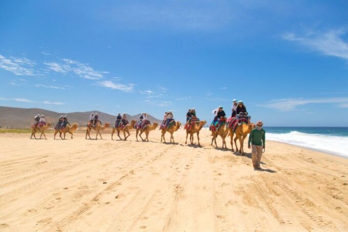 Camel Ride Beach and Desert Adventure. - Frequently Asked Questions