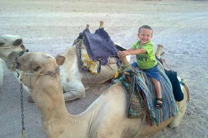Camel Ride & Bedouin Dinner Quad Safari in Sharm El Sheikh - Cancellation Policy and Weather Contingency