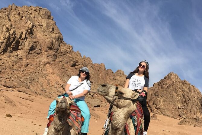 Camel Ride & Bedouin Dinner Quad Safari in Sharm El Sheikh - Frequently Asked Questions