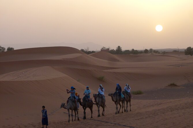 Camel Ride - Inclusions and Tour Details