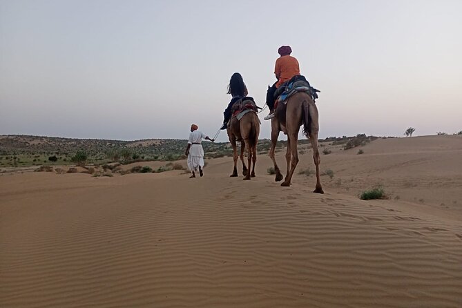 Camel Ride During Sunrise With Breakfast - Booking and Reviews