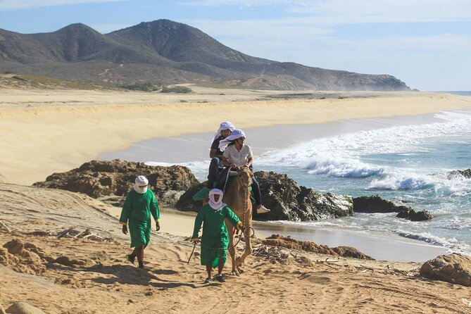 Camel Ride & Encounter at Los Cabos - Health and Safety Considerations