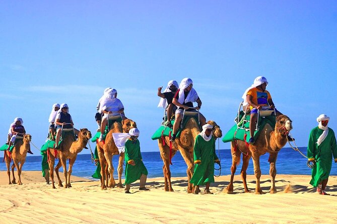 Camel Ride & Encounter at Los Cabos - Tips for a Great Experience